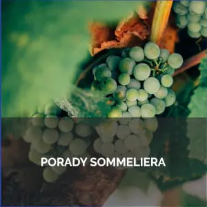 Porady Someliera